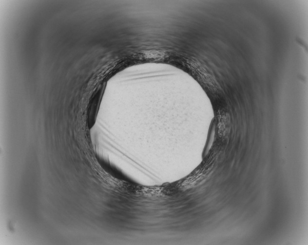 X0000097791249200803281716