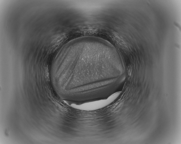 X0000097791252200803281716