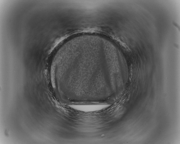 X0000097791256200803281716