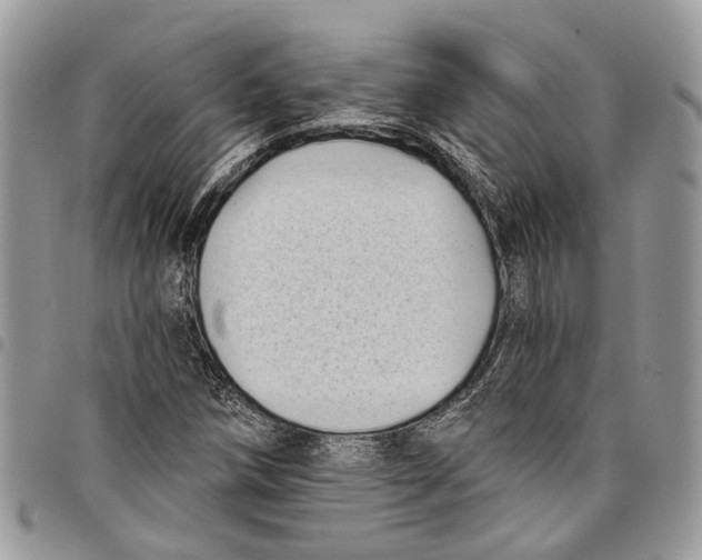 X0000097791258200803281716