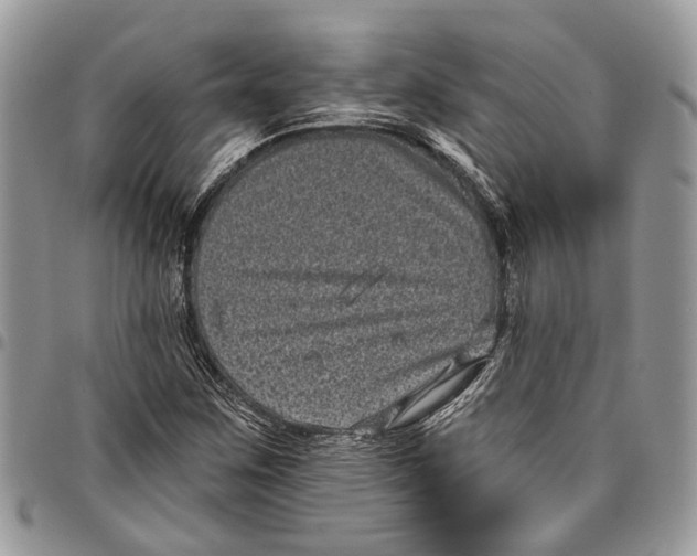 X0000097791259200803281716