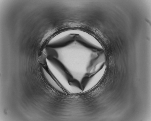 X0000097791261200803281716