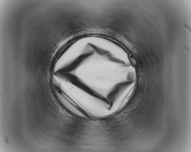 X0000097791264200803281715