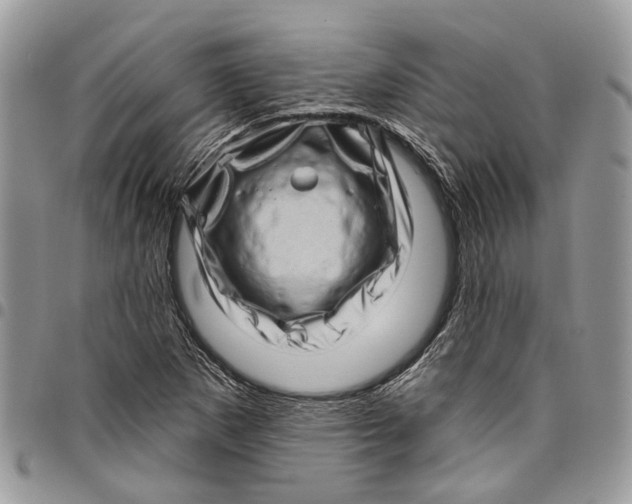 X0000097791265200803281715