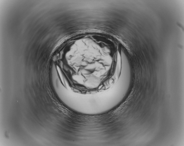 X0000097791266200803281715