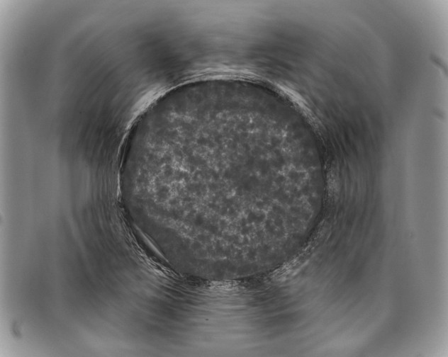 X0000097791267200803281715