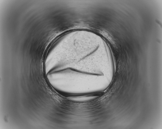 X0000097791268200803281715
