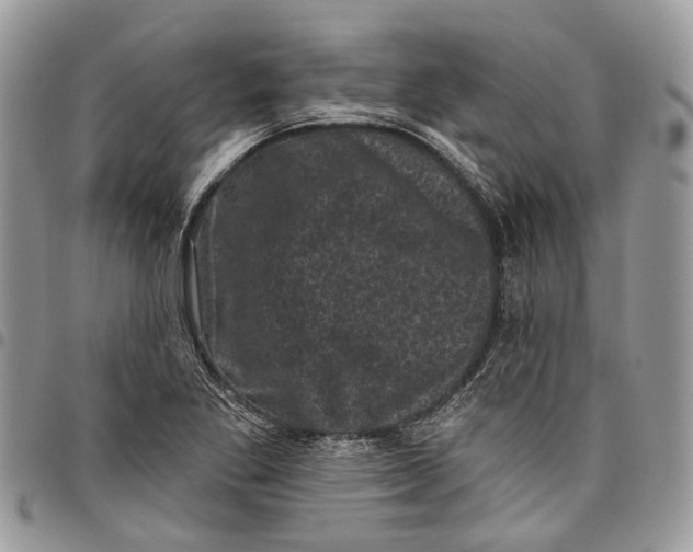 X0000097791269200803281715