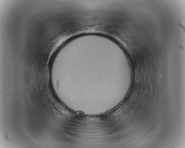 X0000097791270200803281715