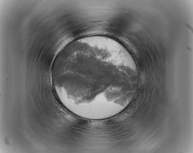 X0000097791274200803281715