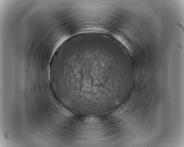 X0000097791275200803281715
