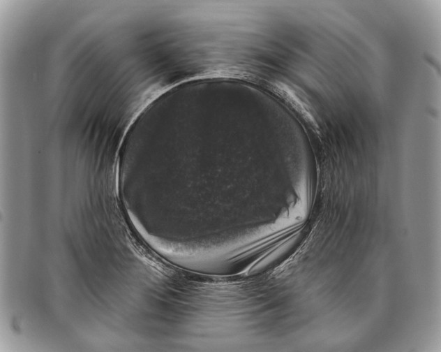 X0000097791276200803281715