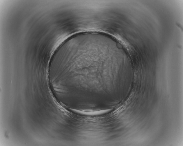 X0000097791279200803281715