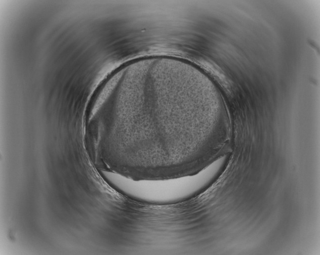 X0000097791280200803281715