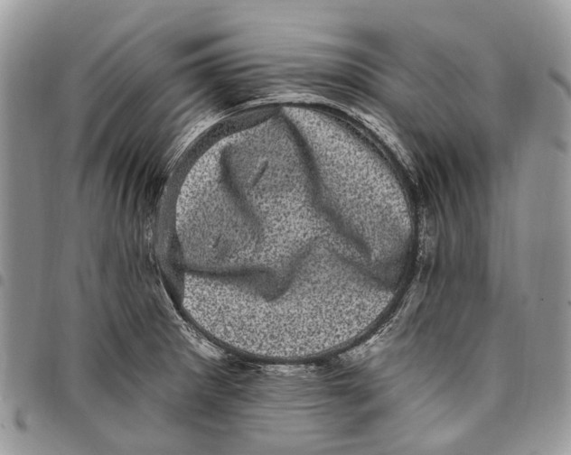 X0000097791281200803281715