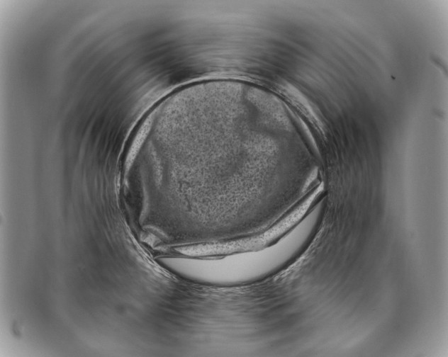 X0000097791284200803281715