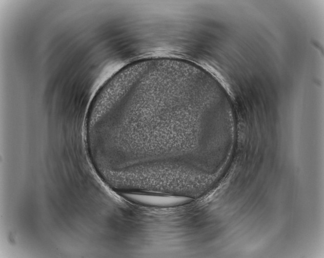 X0000097791285200803281715