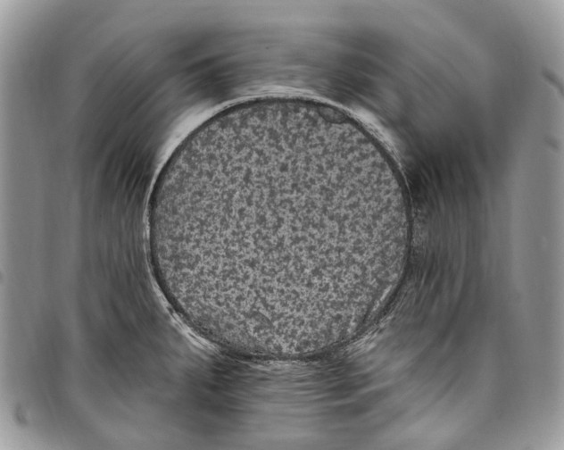 X0000097791287200803281715
