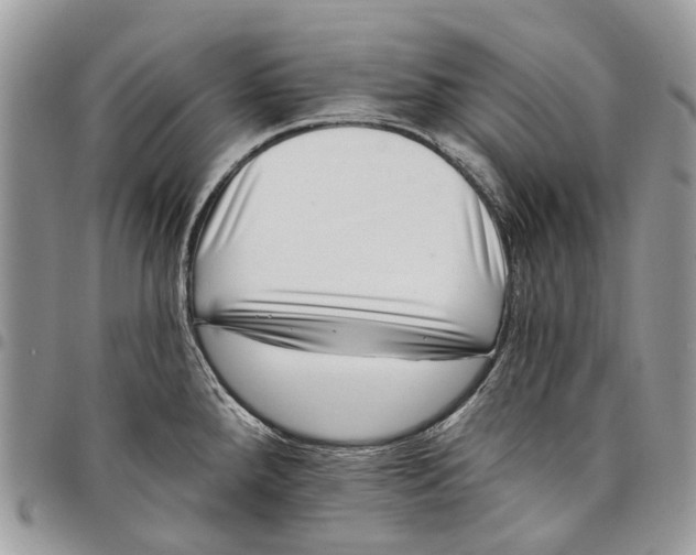 X0000097791288200803281715