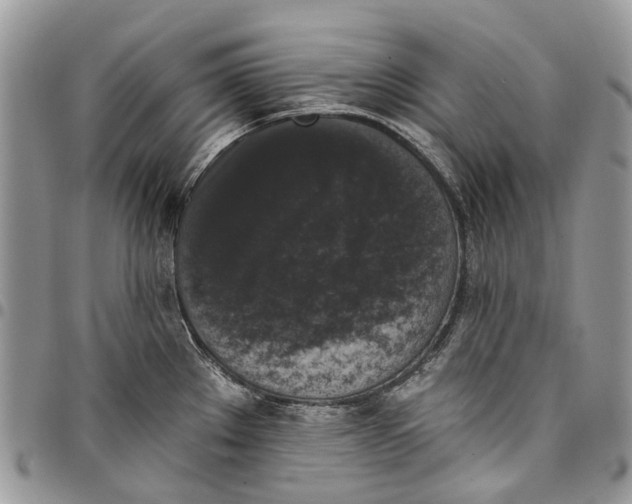 X0000097791289200803281715
