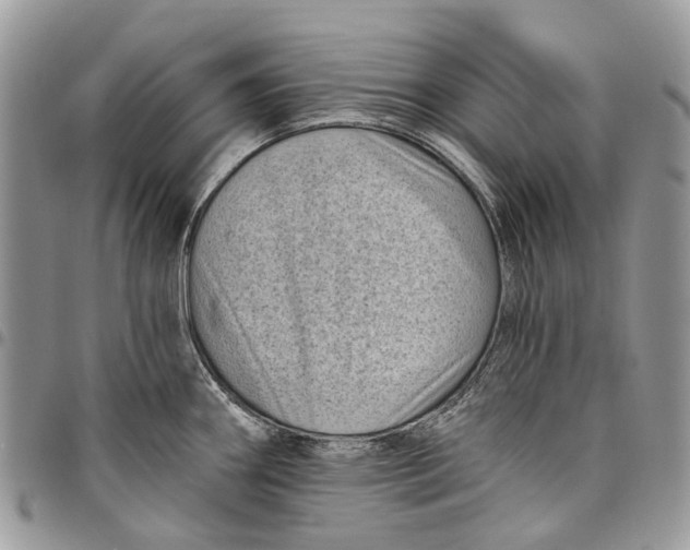 X0000097791290200803281715