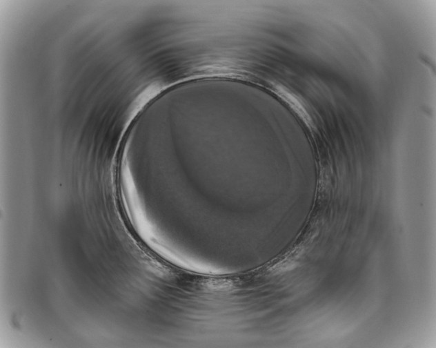 X0000097791291200803281715