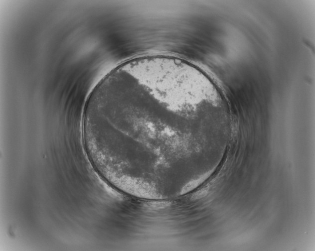 X0000097791294200803281715