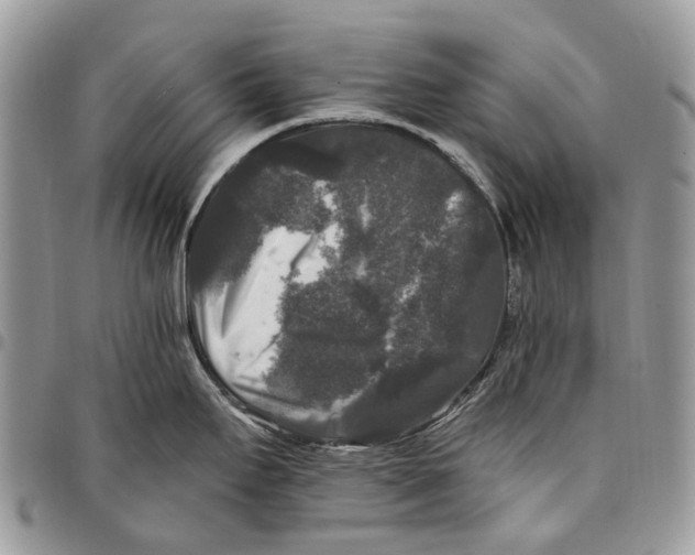 X0000097791295200803281715