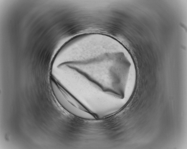 X0000097791296200803281715