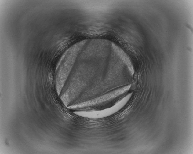 X0000097791300200803281714