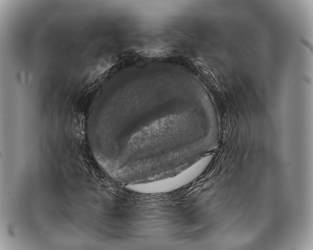 X0000097791301200803281714