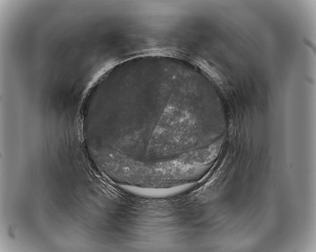 X0000097791310200803281715