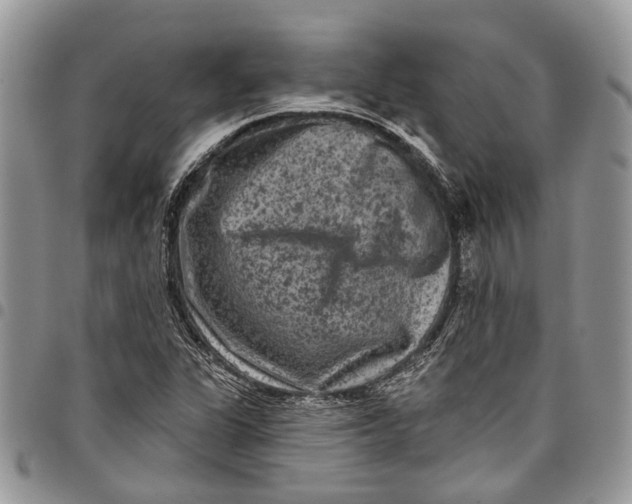 X0000097791311200803281715