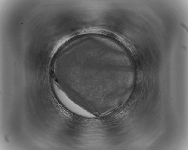 X0000097791312200803281715