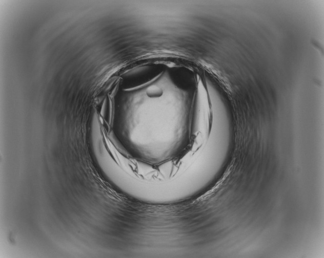X0000097791313200803281715