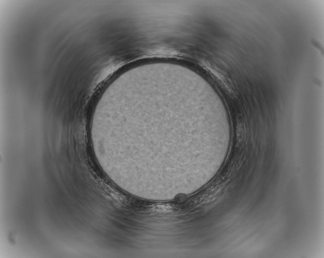 X0000097791315200803281715