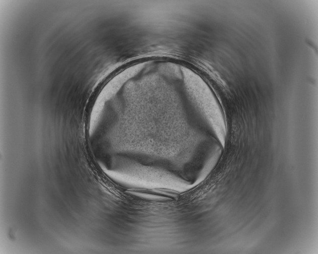 X0000097791316200803281715