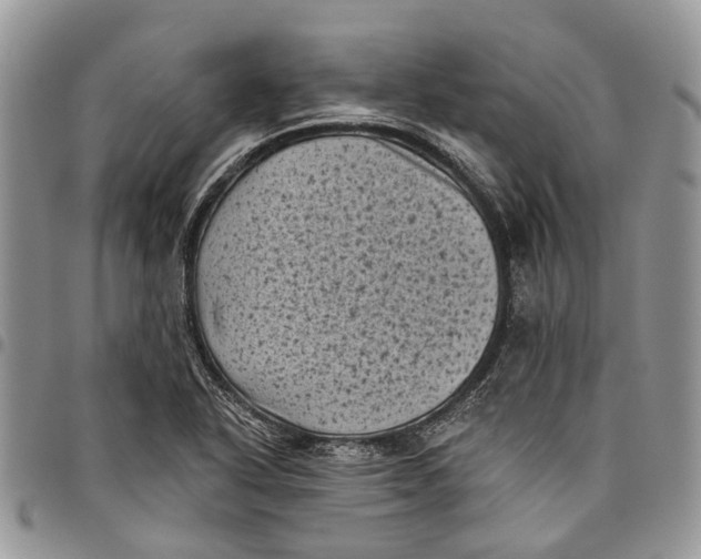 X0000097791318200803281715