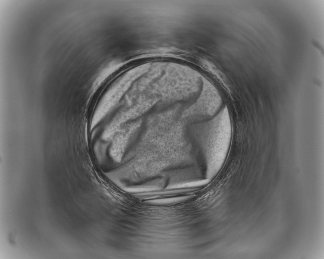 X0000097791320200803281715