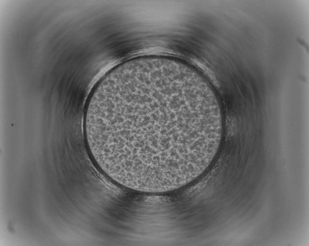 X0000097791322200803281715