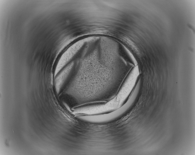 X0000097791324200803281715