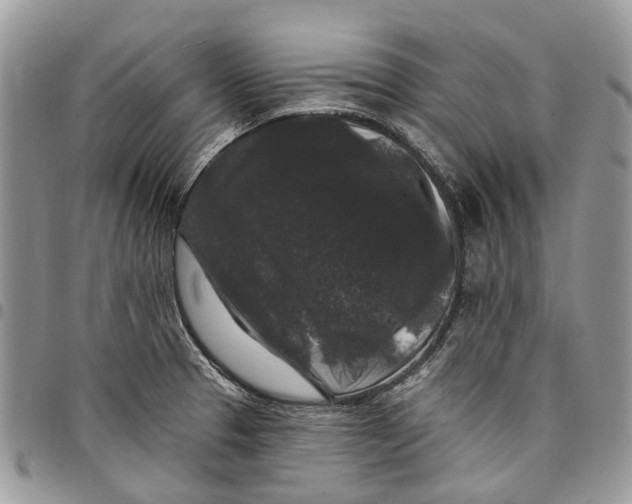 X0000097791329200803281715