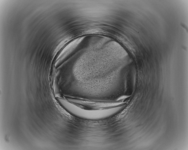 X0000097791330200803281715