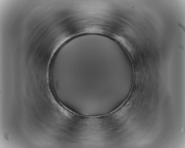 X0000097791331200803281715