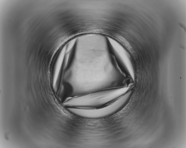 X0000097791332200803281715