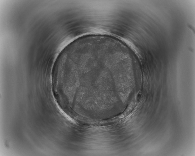 X0000097791335200803281715