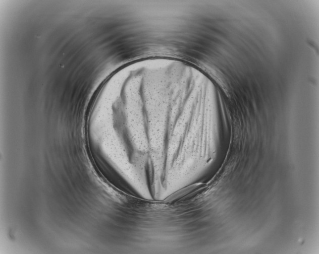 X0000097791339200803281715