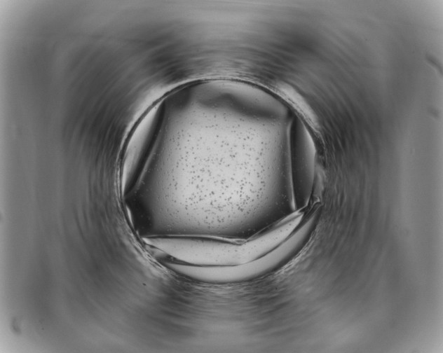 X0000097791340200803281715