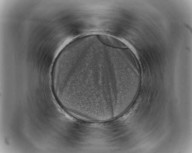 X0000097791341200803281715