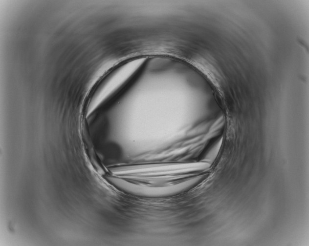 X0000097791342200803281715